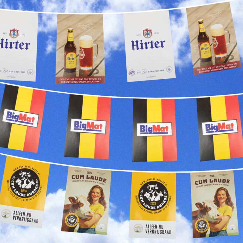 Vlaggenlijnen rechthoek 20x30 cm