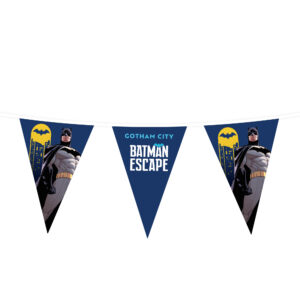 Wimpellijnen driehoek 20 x 30 cm