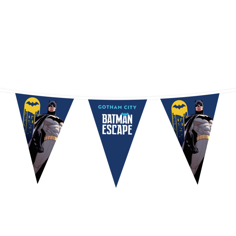 Wimpellijnen driehoek 20 x 30 cm