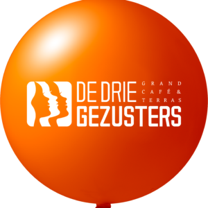 Reuzenballonnen bedrukt - Ø 250 cm / omvang 785 cm / 100 inch