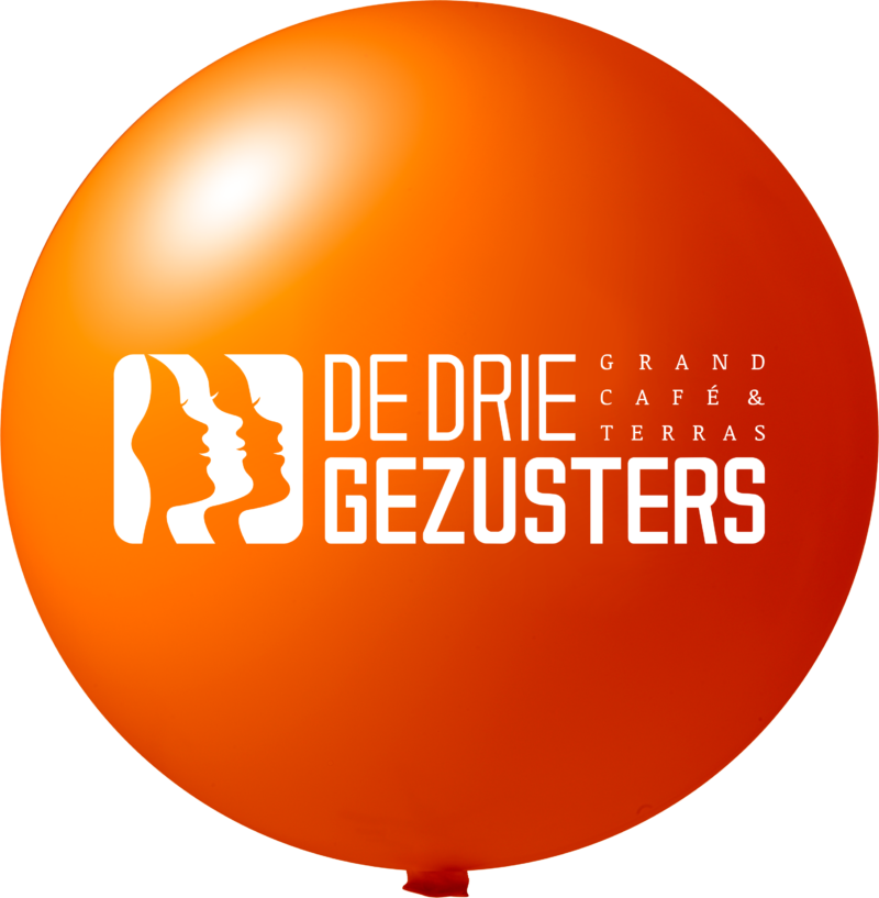 Reuzenballonnen bedrukt - Ø 250 cm / omvang 785 cm / 100 inch