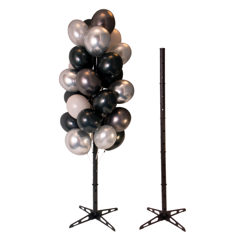 Ballonnenboom diverse kleuren