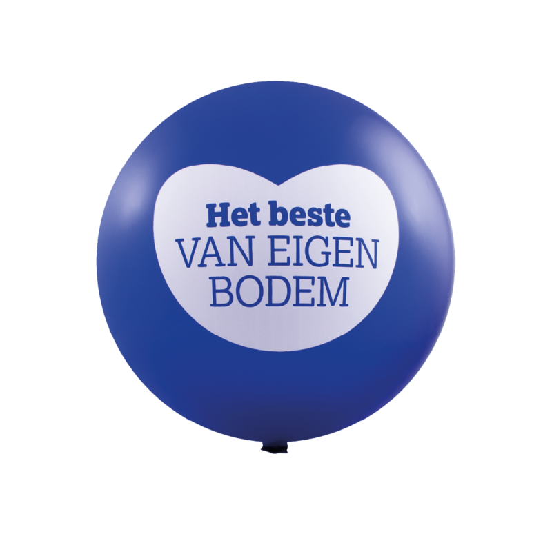 Reuzenballonnen bedrukt - Ø 80 cm / omvang 250 cm / 32 inch