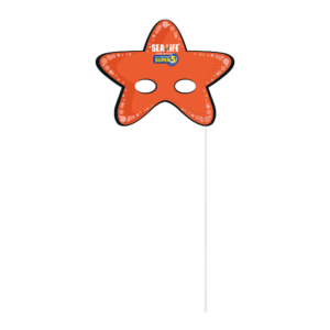 Maskers met stokje 16,5 x 23 cm