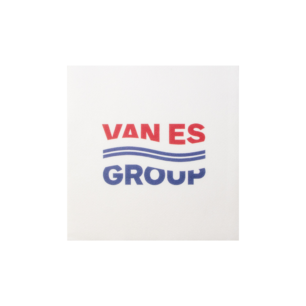 van-es-group.jpg