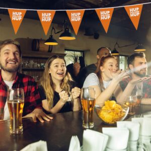 Wimpellijnen driehoek 15 x 21 cm