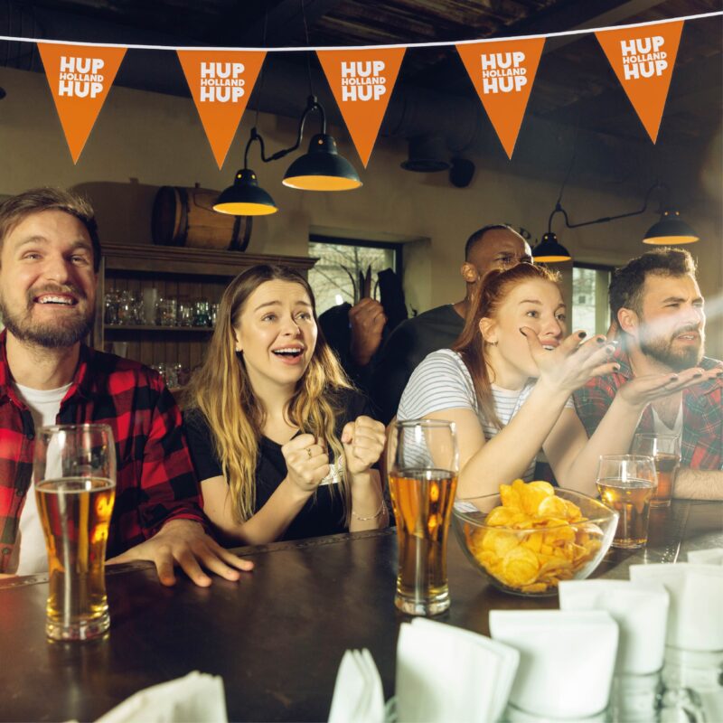 Wimpellijnen driehoek 15 x 21 cm