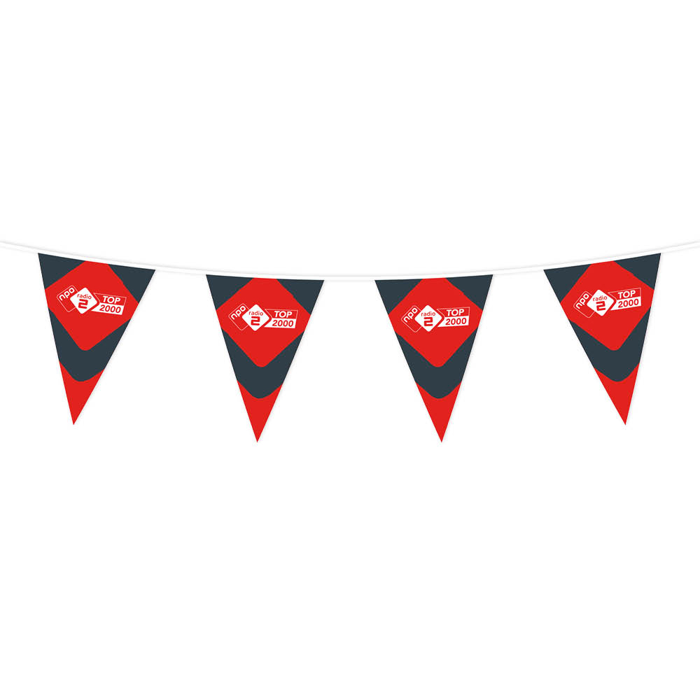 wimpellijnen-wimpelketten-Bunting-triangular-5.jpg