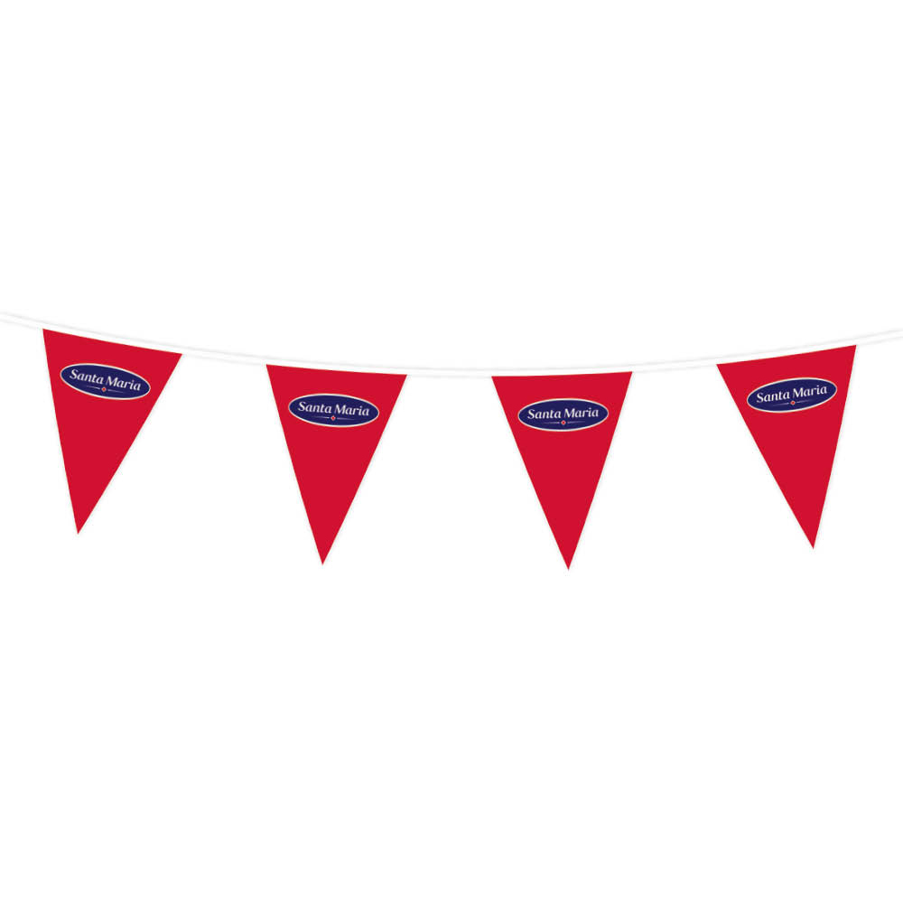 wimpellijnen-wimpelketten-Bunting-triangular-6.jpg