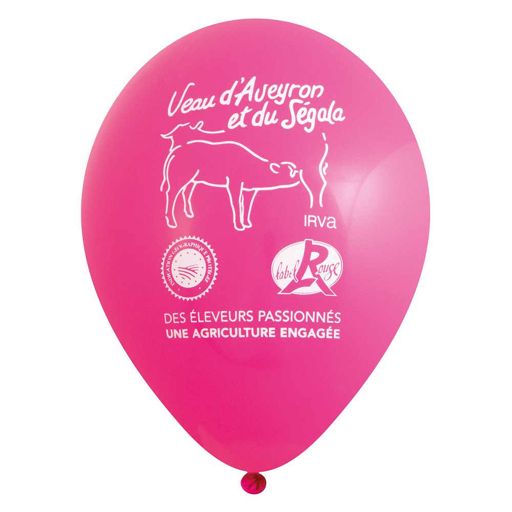 Ballonnen-QP-magenta13.jpg
