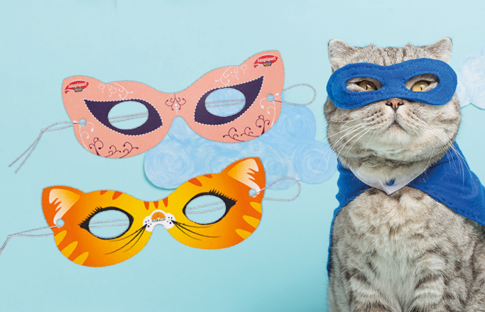 Oogmaskers / piraten ooglapjes