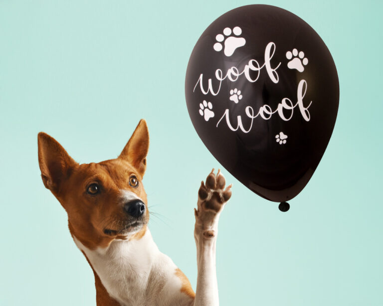 Ballonnen Qualityprint