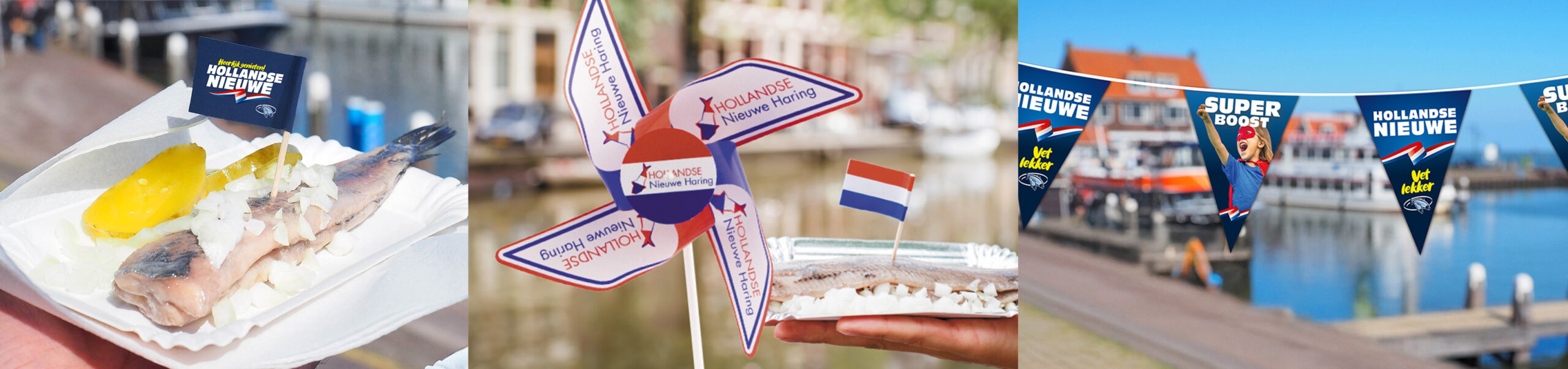 Holländischer Matjes